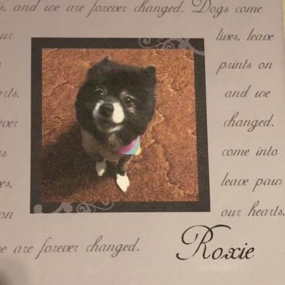 Meet your Posher, Melanie - Picture 1 of 1